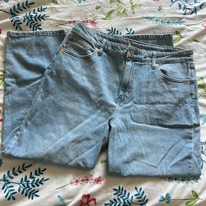 Wild Fable High Rise Straight Ankle Jean